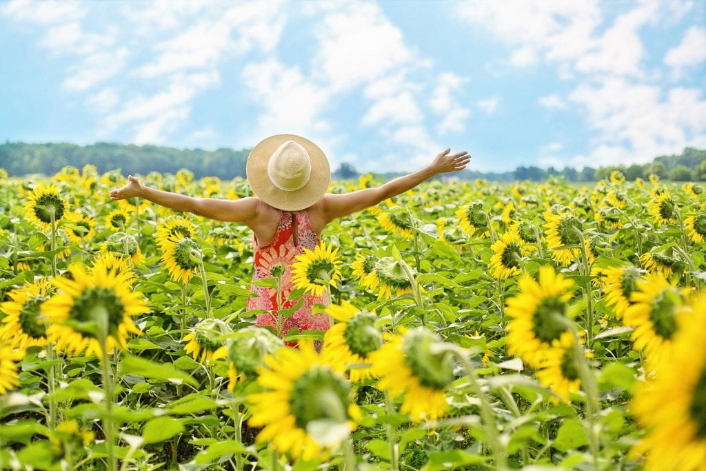 Image of a woman with her arms outstretched in a field of sunflowers. She is wearing a hat and red dress with flowers printed on it. The sky is blue with lots of white clouds.